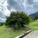 Fioralpino