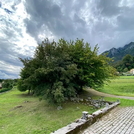 Fioralpino